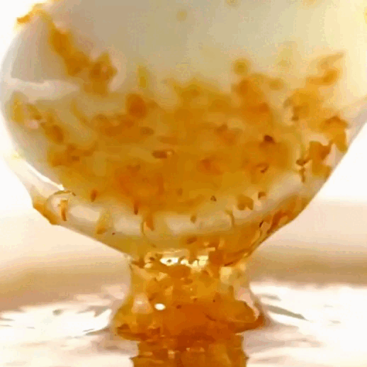 20250221_120136_011.gif
